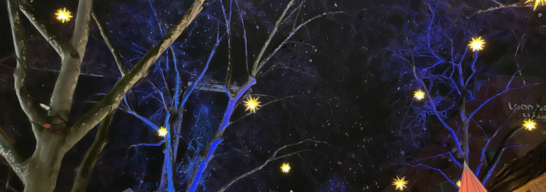 agelbe Herrnhuter-Sterne in den Bäumen uf einem Weihnachtsmarkt in Mannheim